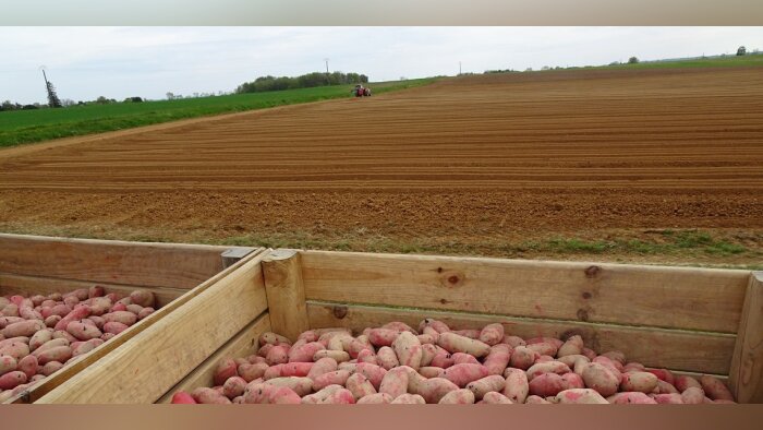 Fin d’utilisation du mancozèbe fixée au 4 janvier 2022