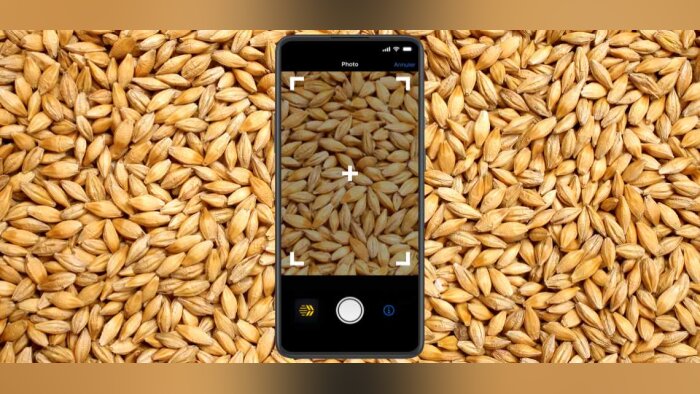 Inarix révolutionne l’analyse des céréales avec un laboratoire de poche