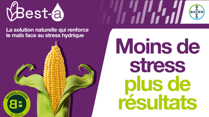 Best-a : une efficacité prouvée par plus de 160 essais en 2025