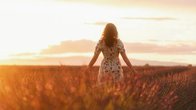 Bientôt des robes légères en paille de blé ? - © Quentin Guiot de Pexels