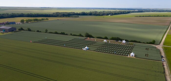 BASF, première campagne réussie pour Revysol