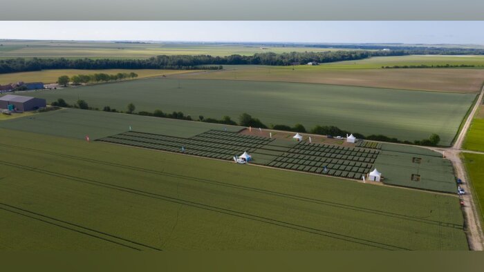 BASF, première campagne réussie pour Revysol