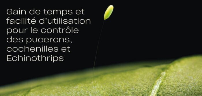 Découvrez Chrysopa-E, notre nouvelle solution naturelle