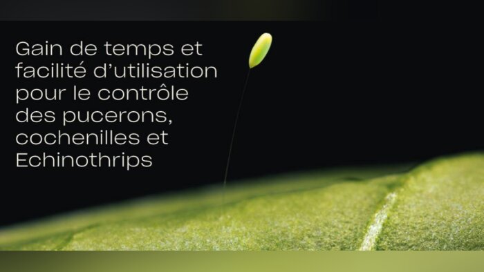 Découvrez Chrysopa-E, notre nouvelle solution naturelle