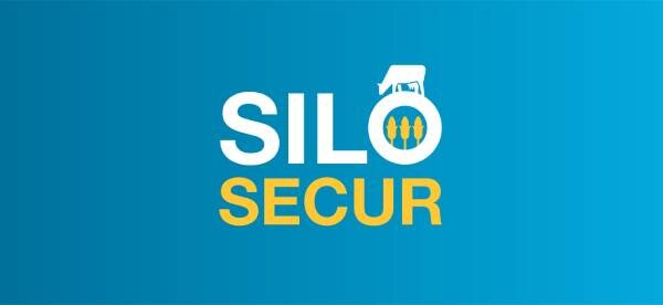 Avec les maïs fourrages SiloSecur, la stabilité est garantie ! - © D.R.