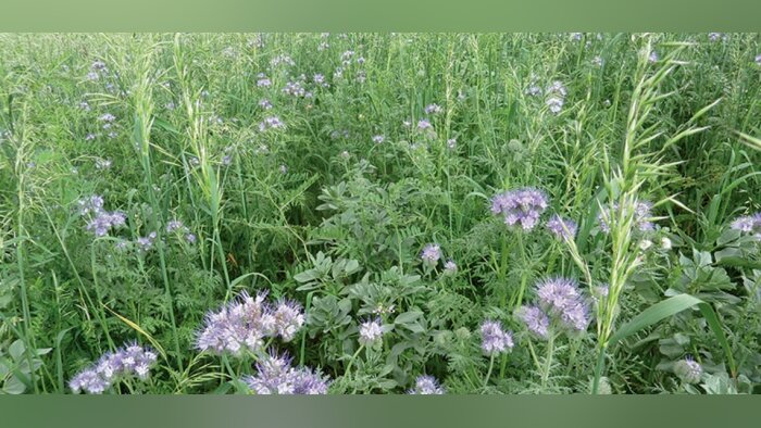 L’Acta enrichit sa base de données sur les plantes de service
