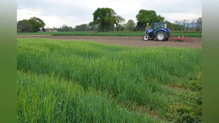 La plateforme du Bearn est une des cinq plateformes de l’action Syppre - © D.R.