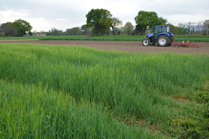La plateforme du Bearn est une des cinq plateformes de l’action Syppre - © D.R.