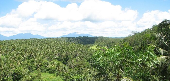 Le Snia avance sur le soja non déforesté