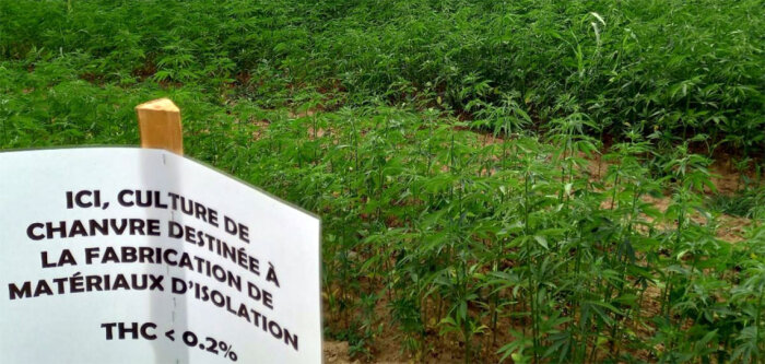 Chanvre, le projet « Pépite » de la maison Cholat se concrétise