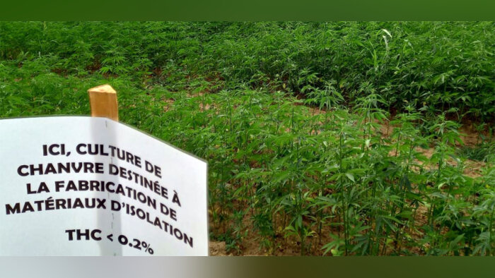 Chanvre, le projet « Pépite » de la maison Cholat se concrétise