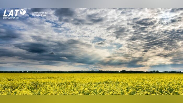 La fertilisation du colza à l’automne, un facteur essentiel de réussite de la culture