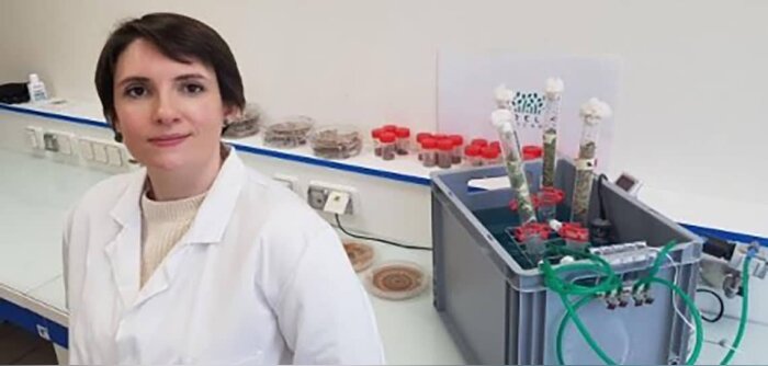 Végépolys s’intéresse aux trichoderma comme alternatives aux phytosanitaires