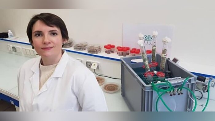 Végépolys s’intéresse aux trichoderma comme alternatives aux phytosanitaires