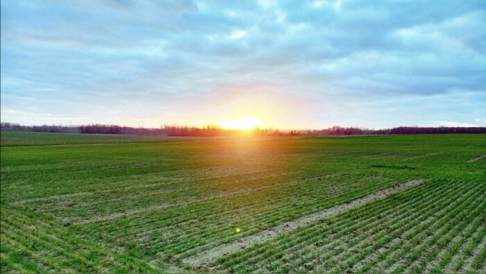 Engrais : les enjeux d’une transition