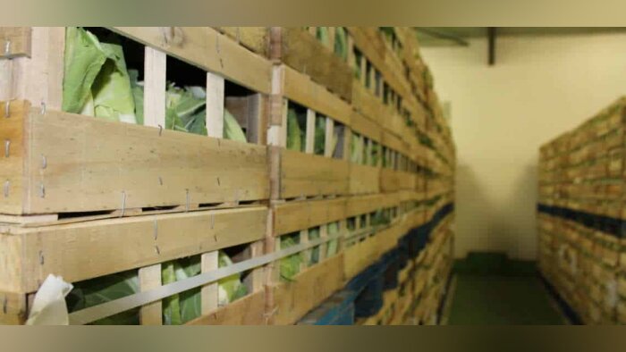 Le Gouessant (22) se diversifie sur les légumes