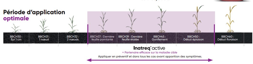 L’innovation Inatreq active assure les rendements à venir, tout en combinant rentabilité et souplesse de positionnement - © D.R.
