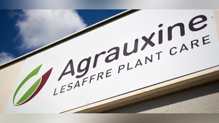 Agrauxine confie la distribution de ses produits à Sumi Agro et Certis Belchim