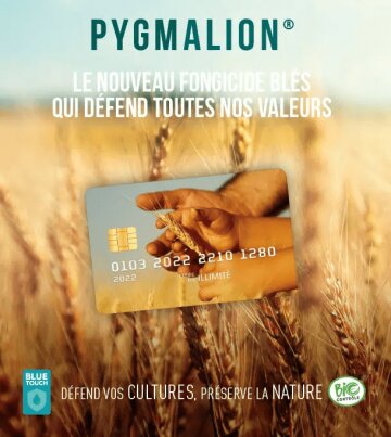Enfin un fongicide biocontrôle à action systémique en grandes cultures ! - © D.R.