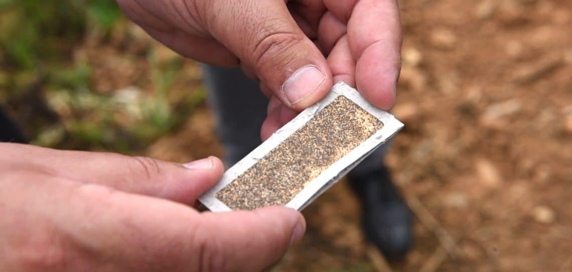 Oxyane et Bioline France se lancent dans la mécanisation du biocontrôle - © D.R.