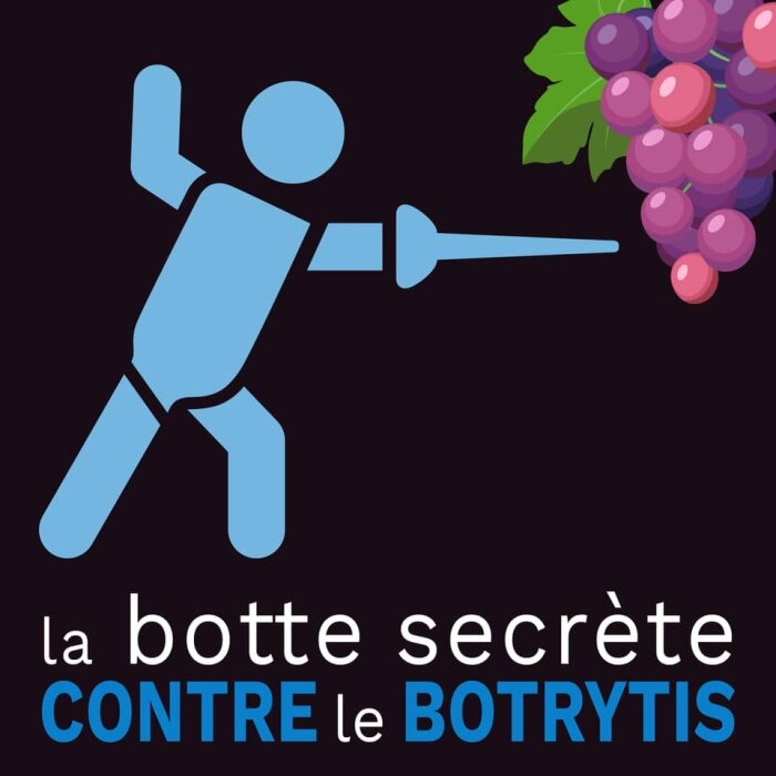 La botte secrète contre le botrytis : le tandem biocontrôle et prophylaxie