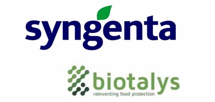 Insecticides de biocontrôle, Syngenta et Biotalys s’associent