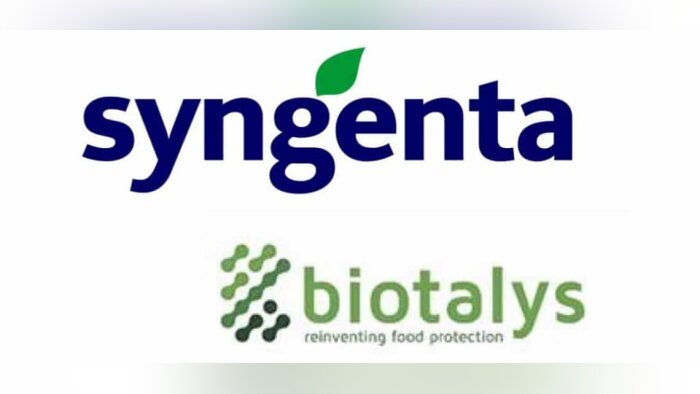 Insecticides de biocontrôle, Syngenta et Biotalys s’associent
