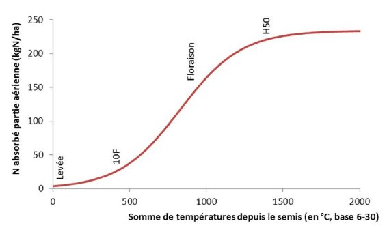 Fertilisation azotée du maïs : comment être efficace ? - © D.R.