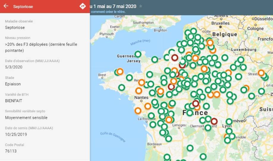 Cartographies septoriose et rouilles, suivez leur évolution pour préserver les rendements en blé - © D.R.