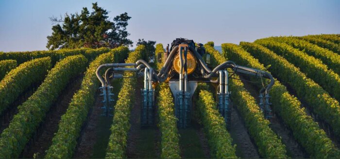 Phytos, les ventes ont baissé de 36 % en 2019