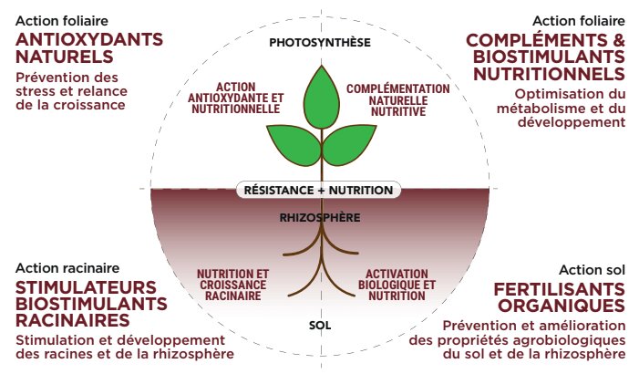 Stress climatiques de la vigne : les solutions - © D.R.