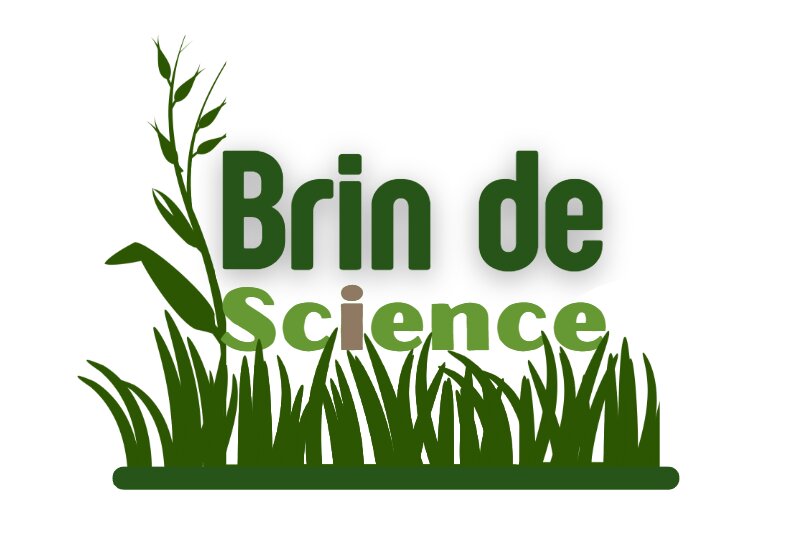 Un brin de science, pour parler d’actualité - © A-L. Thadée