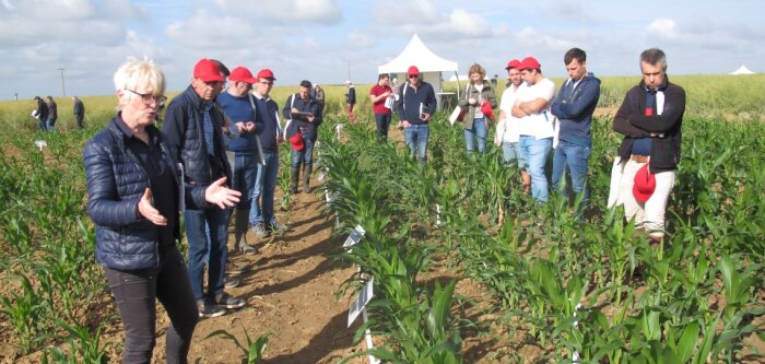 Bayer dévoile ses solutions au champ