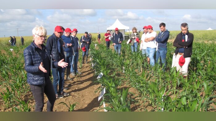 Bayer dévoile ses solutions au champ