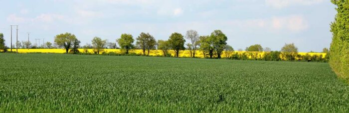 Le CNRS lance un projet d’agriculture sans pesticide pour les « territoires pleinement ruraux »