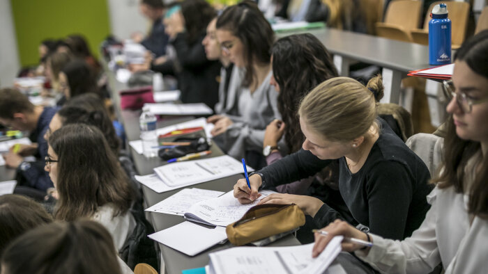 Briser la glace dès la rentrée permet de faire tomber la pression et de créer un lien de confiance. - © Conférence des présidents d’université - Université de Haute-Alsace