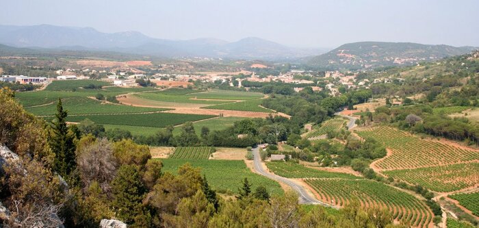 Soufflet Vigne et Yara s’associent pour la préservation du vignoble languedocien