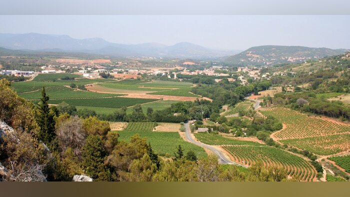 Soufflet Vigne et Yara s’associent pour la préservation du vignoble languedocien