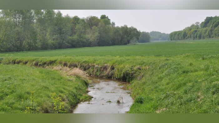 Inrae et Agrocampus Ouest finalisent un outil pour dimensionner les bandes enherbées