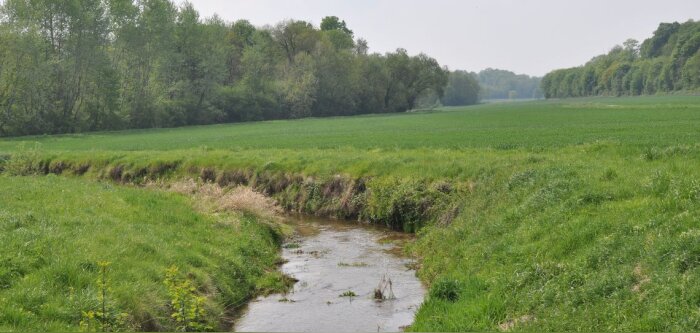 Produits phytosanitaires, gérer le poids de la réglementation
