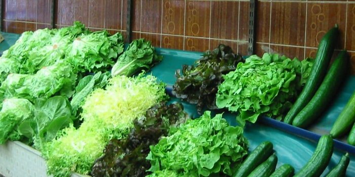 alimentation legumes circuits courts - © D.R.