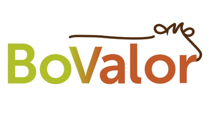 Bovalor : une nouvelle entité pour structurer la filière bovine et renforcer la valeur ajoutée