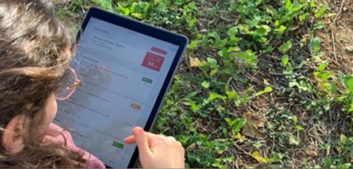 L’indice de régénération se décline désormais en viticulture