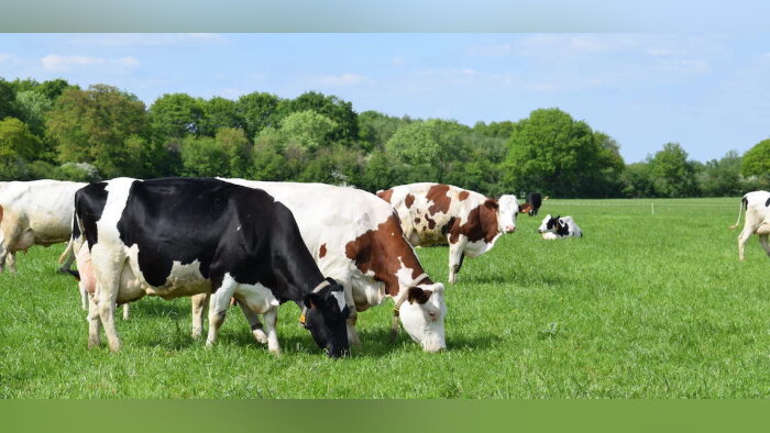 Compass Group France et Terrena s’associent pour alimenter un millier d’établissements