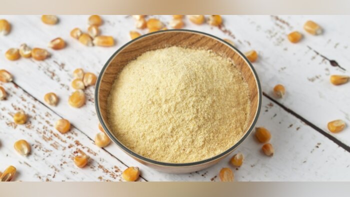 Limagrain Ingredients s’engage dans une dynamique d’acquisition en Europe