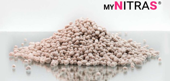 Les bénéfices de l’ammonitrate soufrée MYNITRAS® sur céréales à paille