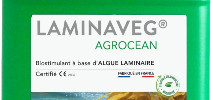Agrimer, première société à obtenir la certification CE pour son biostimulant à base d’algue laminaire Laminaveg