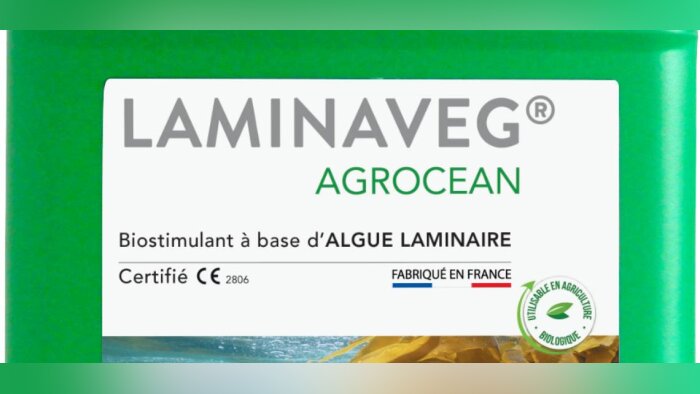 Agrimer, première société à obtenir la certification CE pour son biostimulant à base d’algue laminaire Laminaveg