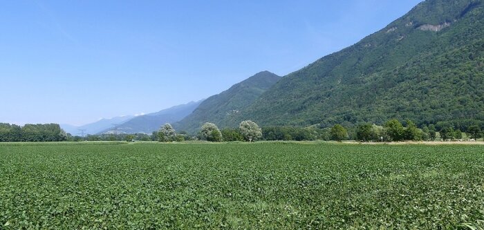 Les sept pistes de coopération entre l’Ademe et l’Inrae