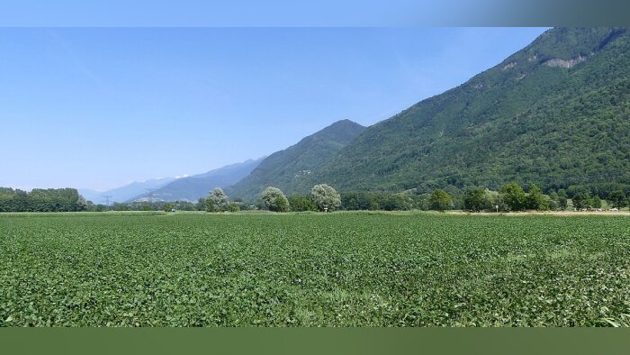 Les sept pistes de coopération entre l’Ademe et l’Inrae